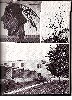 78 yearbook-3.jpg
